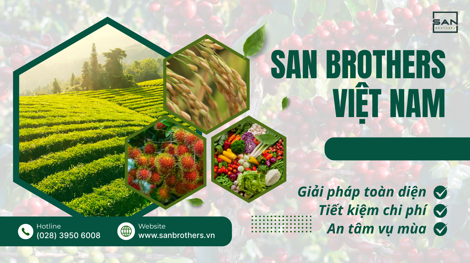 SANBROTHERS SỨ MỆNH